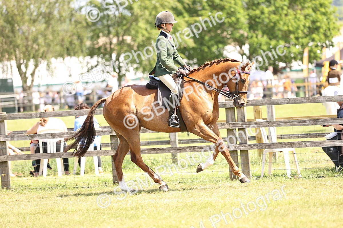 SBM_14885 - Class 78 - LIHS BSHA Open Racehorse & Show Horse