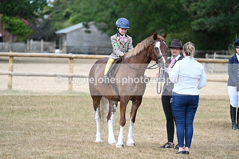 WJ7_6534 - Class 1 Lead Rein Pony