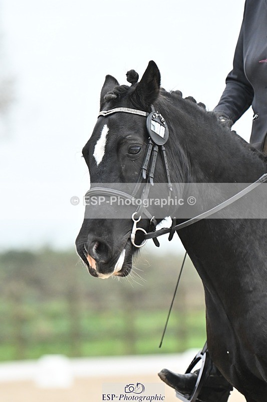 241103-103751-00975 - Prelim 1 - 10.04 to 11.21