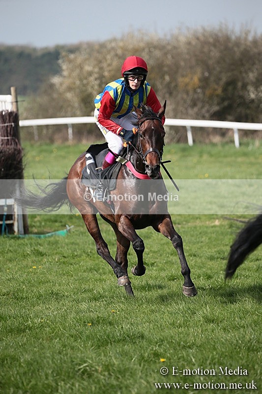 PtP 210418 431 - South & West Wilts Point-to-Point Larkhill 21/04/18