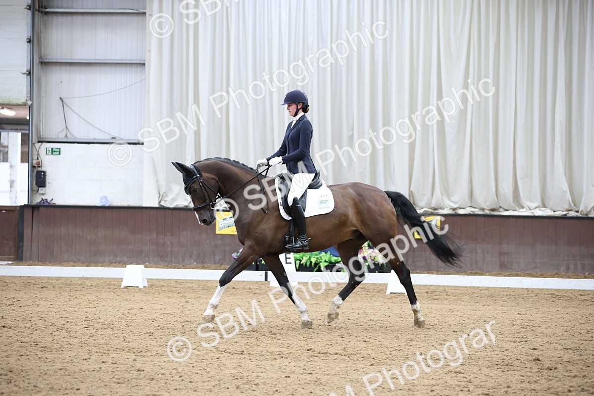 SBM_003378 - Class 5 - Novice 6 Gold - 13.05-14.00