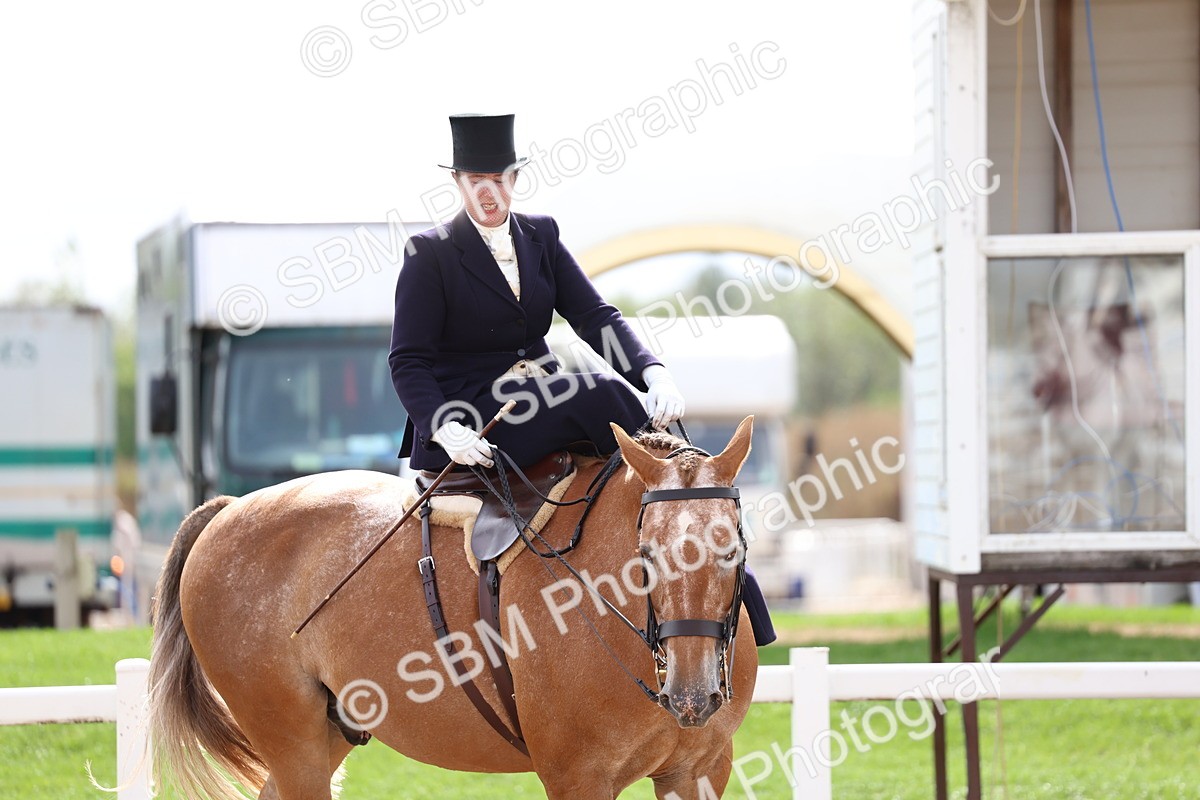 SBM_03462 - Class 24 - SSA Concours d'elegance (any age)