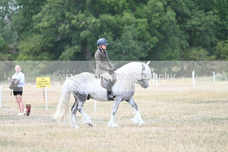 WJ7_4724 - Class 12 Ridden Cob