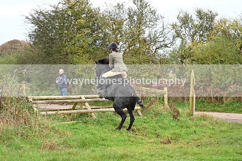 WJ7_0371 - Camera 1 & Last fence