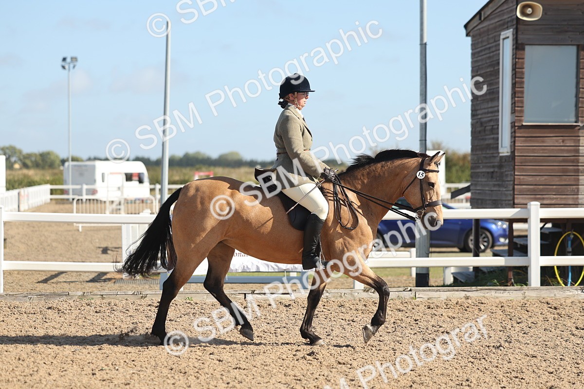 SBM_22602 - Class 804 - Ridden Veteran Pony