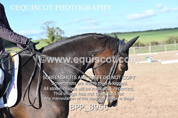 BPP_8956 - LONG ARENA