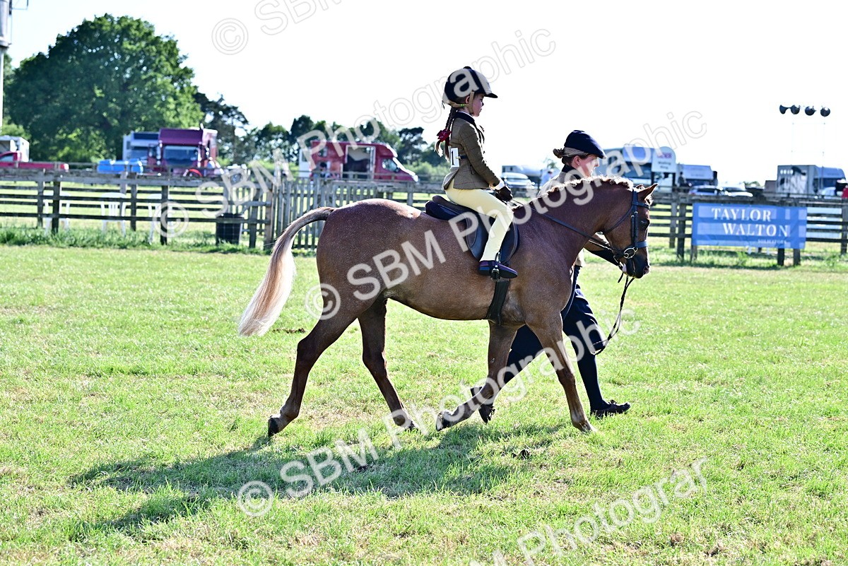 SBM_19816 - Class 103 - 105 - TSR Ridden Amateur of the Year Plaited Ponies
