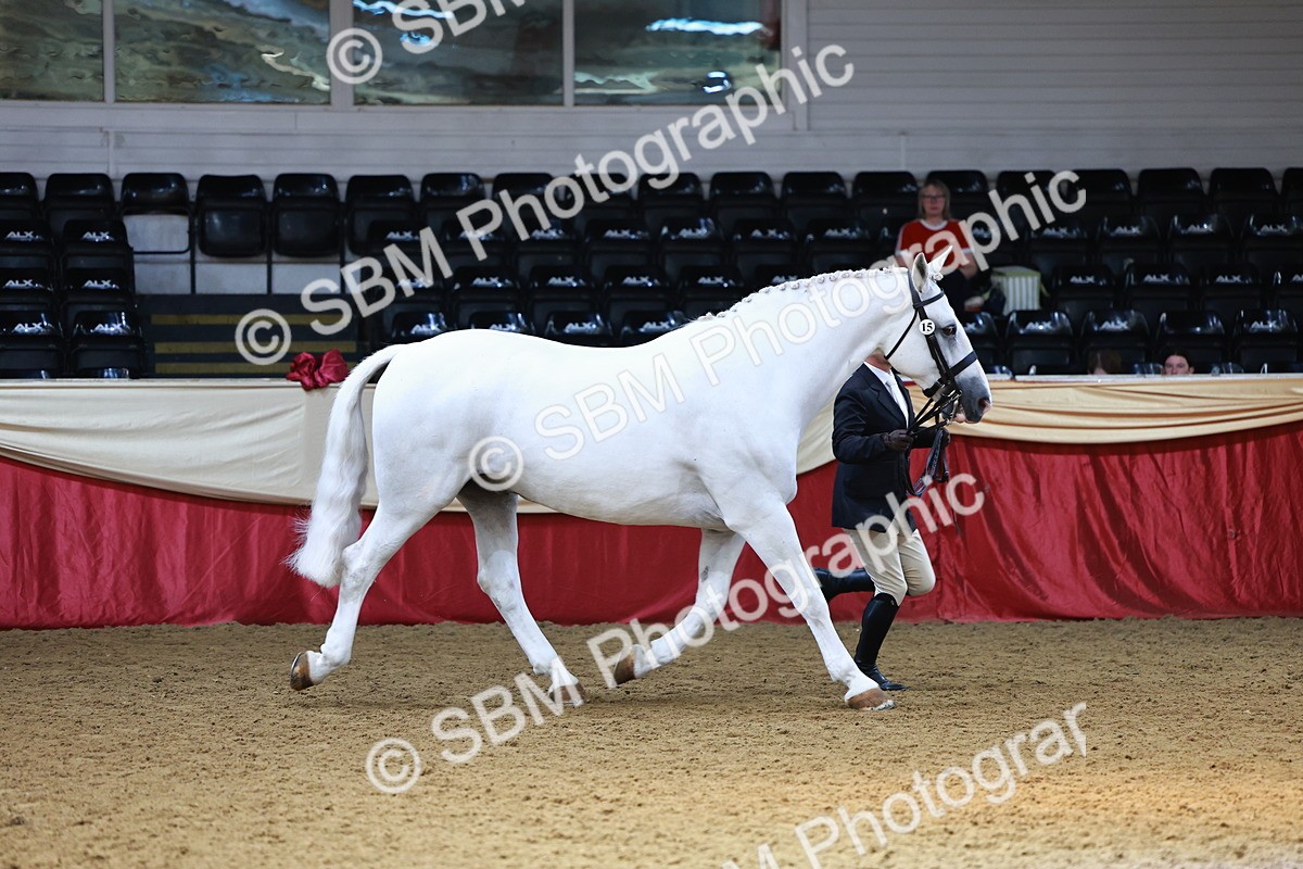 SBM_23256 - Class 903 - Supreme Final - IH Pre Vet