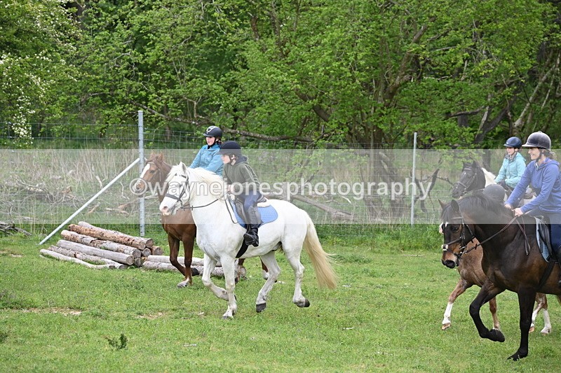 WJ6_3021 - A Camera