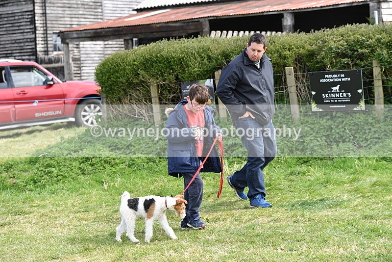 WJ5_0708 - Best in Show Championship