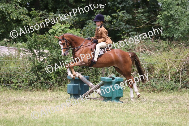20260614-2817 - Class 22 - Open Working Hunter