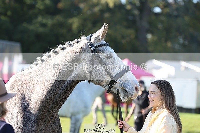 241027-100546-15688 - 562-Hannah.Wells-FOURFIELDS.HIGH.SEAS