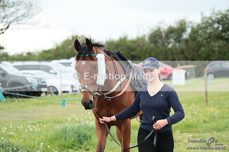 PtP 040526 561 - Mollington Point-to-Point 04/05/26