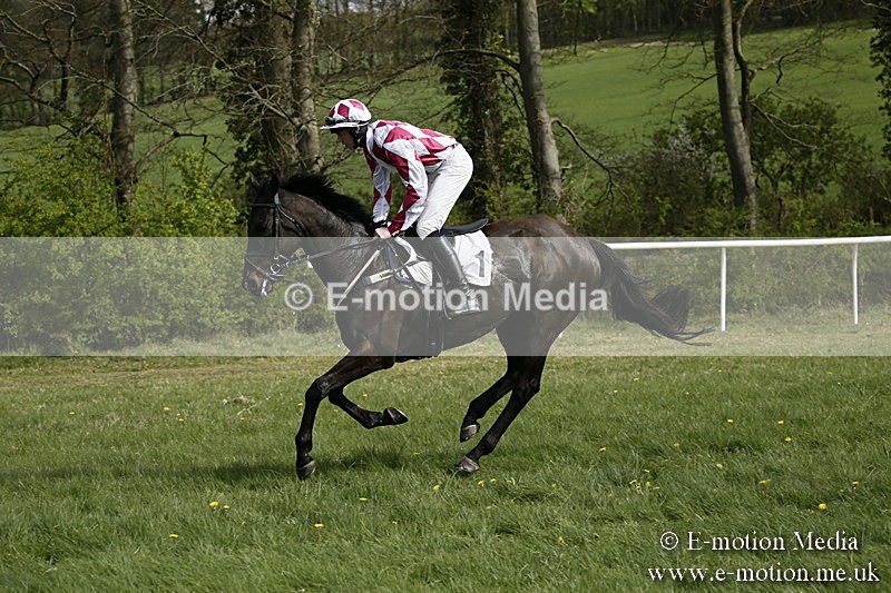 PtP 170417 242 - Old Berks Point-to-Point Lockinge 17/04/17