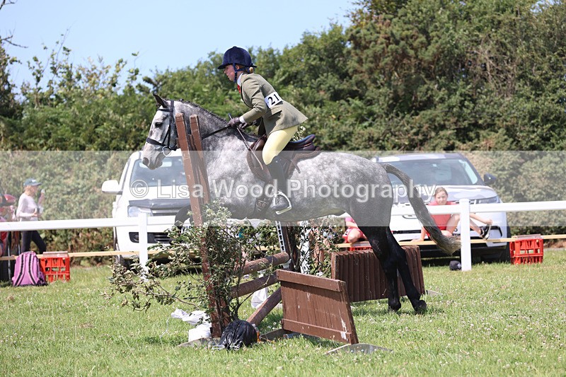 JPP_2477 - Class 21: Working Hunter 60cm