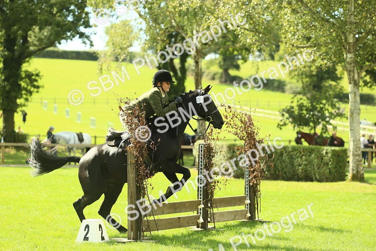 SBM_42061 - S29 - Novice & Newcomers Working Hunter Pony
