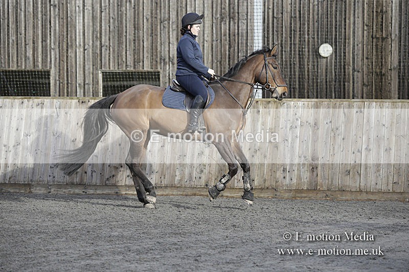 BVRC 050320 0002 - Bourne Valley riding Club Show Jumping Tidworth 08/03/20