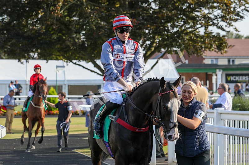 300824-Race 8-Finn Ironside-0731 - Race 8