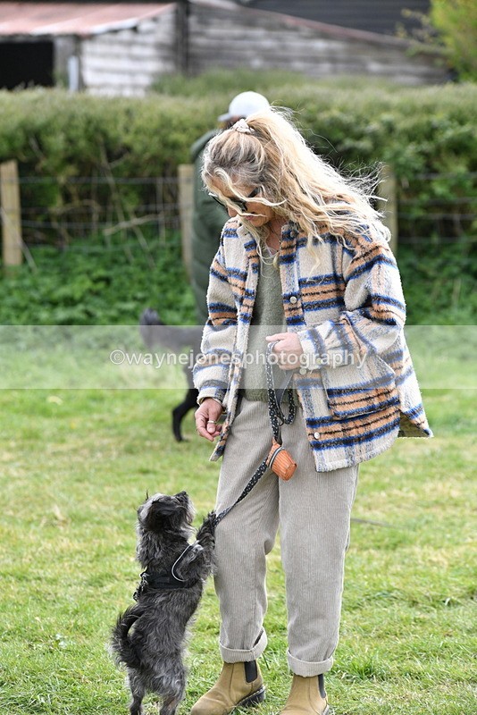 WJ5_9341 - Class 1 Best Cross Breed / Heniz 57