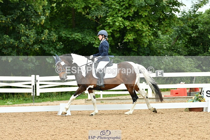 230701A-123029-05751 - Cls 7 Elementary 45