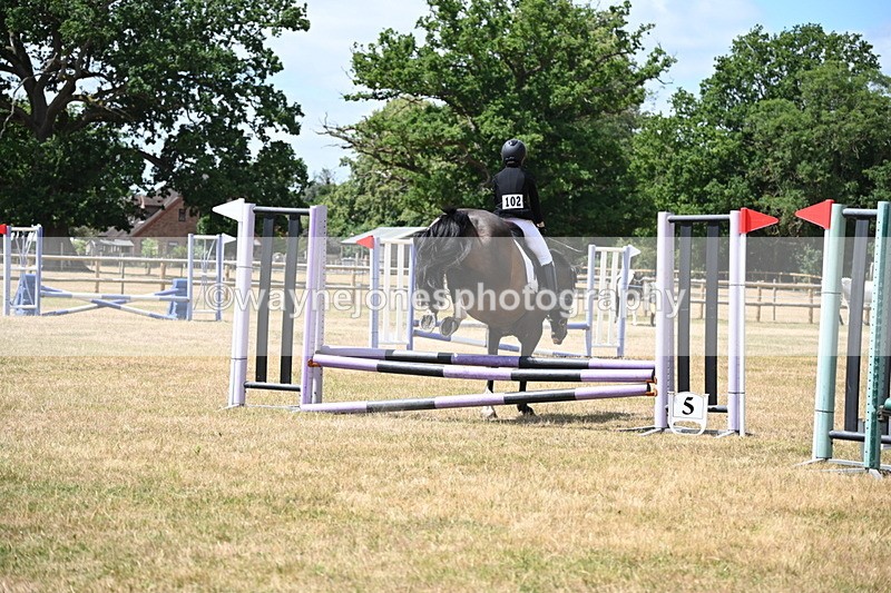 WJ6_5599 - Class 13 Novice 60cm