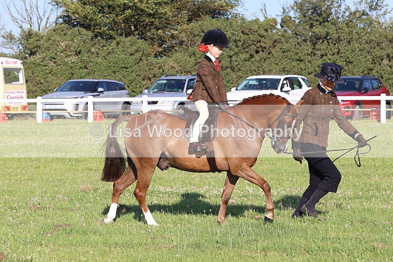 JPP_0781 - Class 16: Cornish Combination Leading Rein