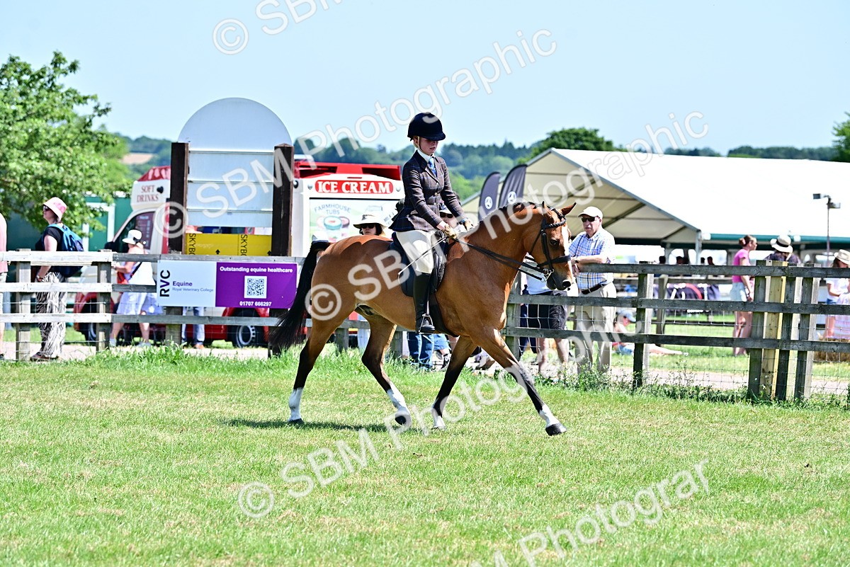 SBM_17425 - Class 95-97 - BSPS LHS Performance Ponies