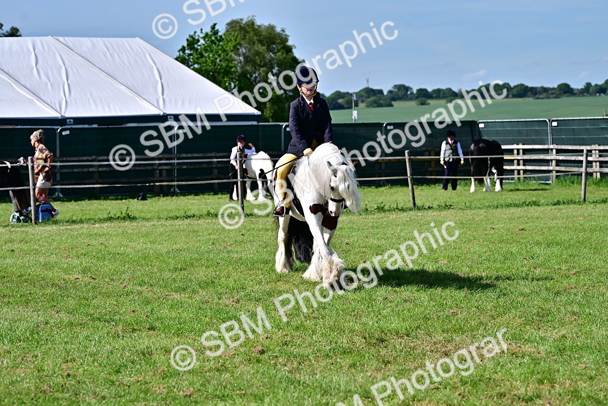 SBM_09398 - Class 63-65 - Traditional Gypsy Cobs In Hand & Ridden