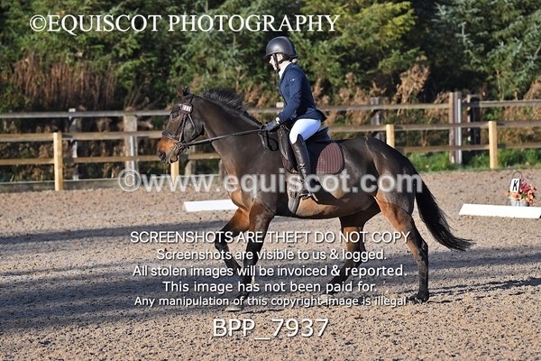 BPP_7937 - LONG ARENA