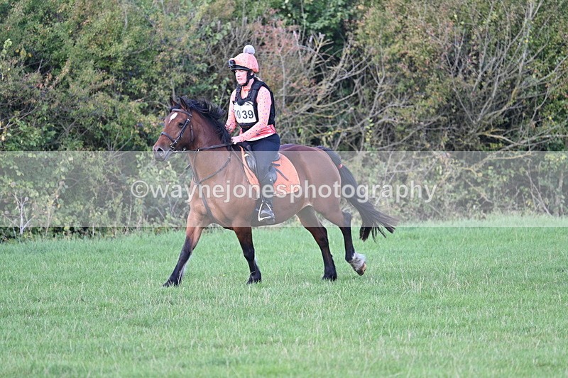 WJ7_1208 - Time 13:56 to 14:24