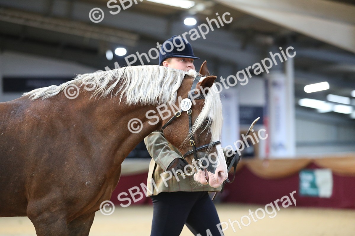 SBM_01278 - Class 3a Area IH Pre Vet