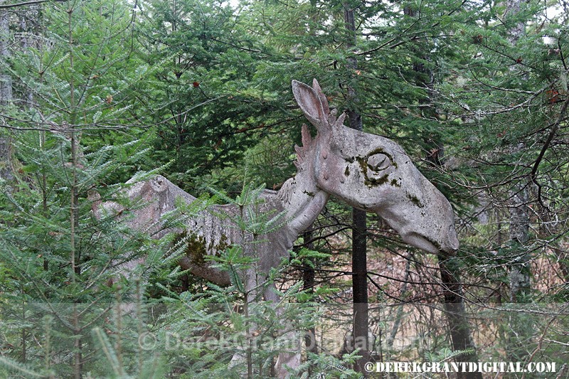 Animaland Sussex New Brunswick Canada - Animaland