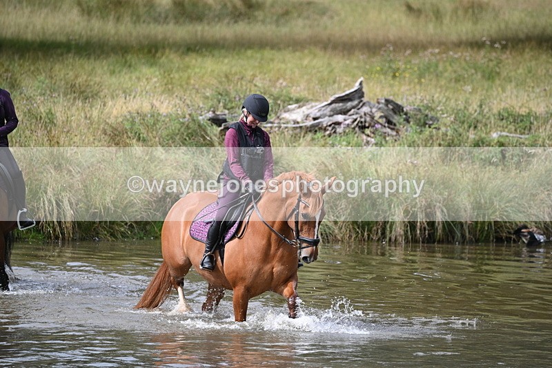 WJ7_1850 - Time at Water 10:48 to 11:13