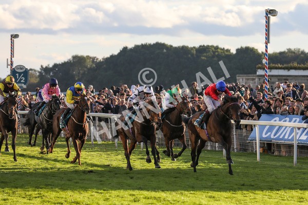 141023-Race 7-Star Ahoy-0687 - Race 7 4.45pm Coral 'Committed To Safer Gambling' Finale Handicap