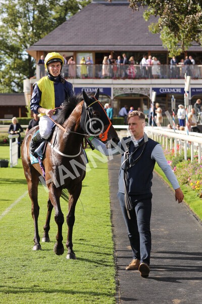 yr19082022r7-46 - Race 7 5.20pm Sky Bet Mile Stakes