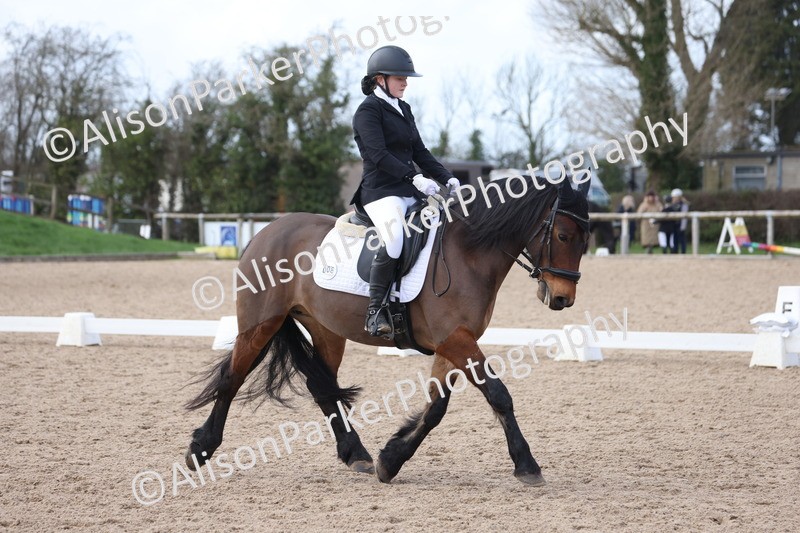 20260301-0855 - Class 5 - Elementary 4