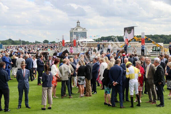 yr11062022r8-1 - Race 8 5.25pm Clean up with PPS Stakes