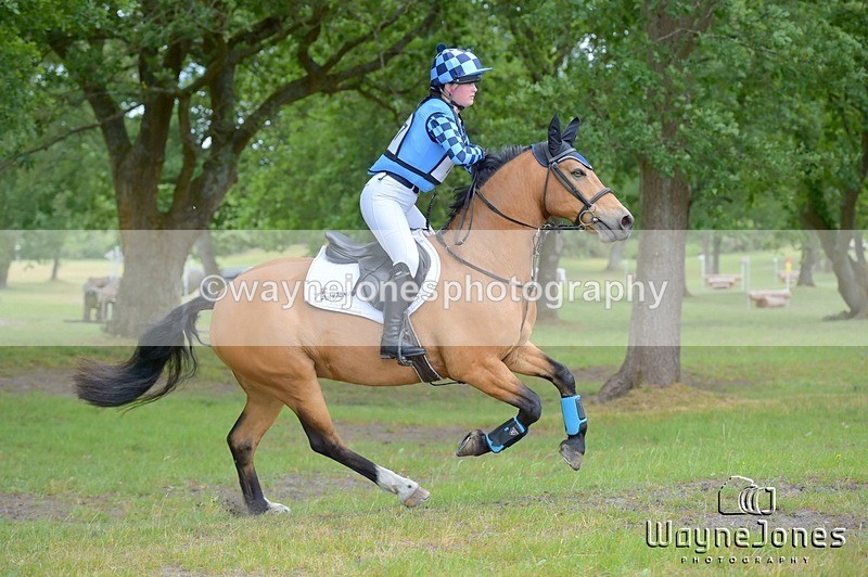 NGP_7952 - Edited examples