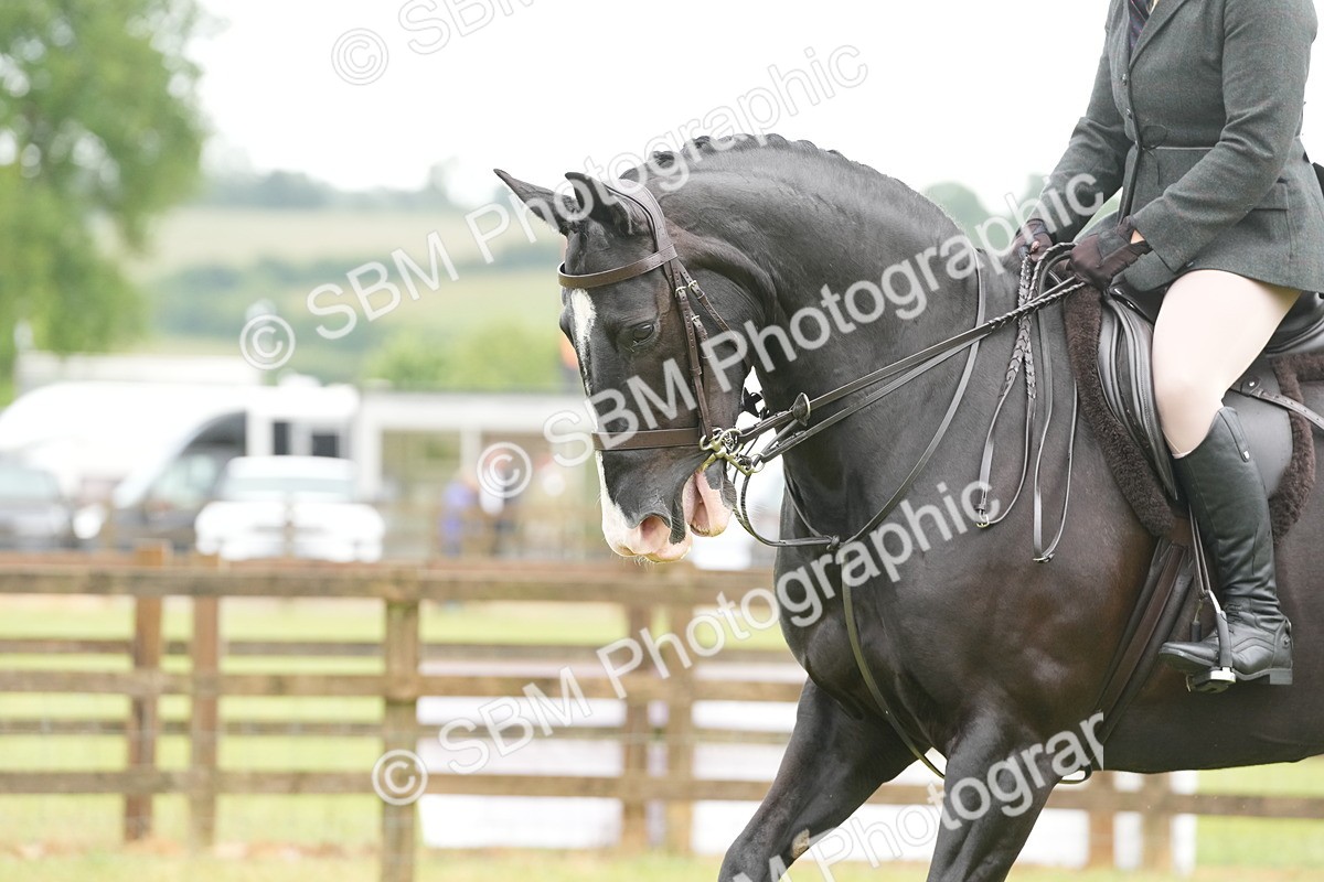 SBM_12714 - Class 97-98 - LIHS BSHA Rising Star Working Show Horse Hunter