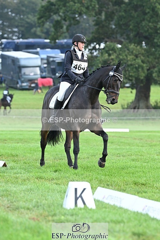 231020-094547-05757 - 464-IMPERIAL.TANGLE-Deborah.Burrell-DR