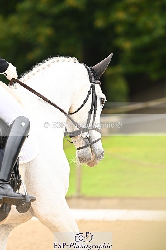 231021-123412-15152 - 349-MASERATI.DE.LANDETTA.Z-Emily.King-DR