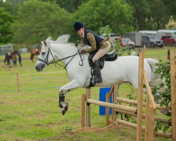 Dunblane show-559 - Dunblane and Doune Show Ring 1