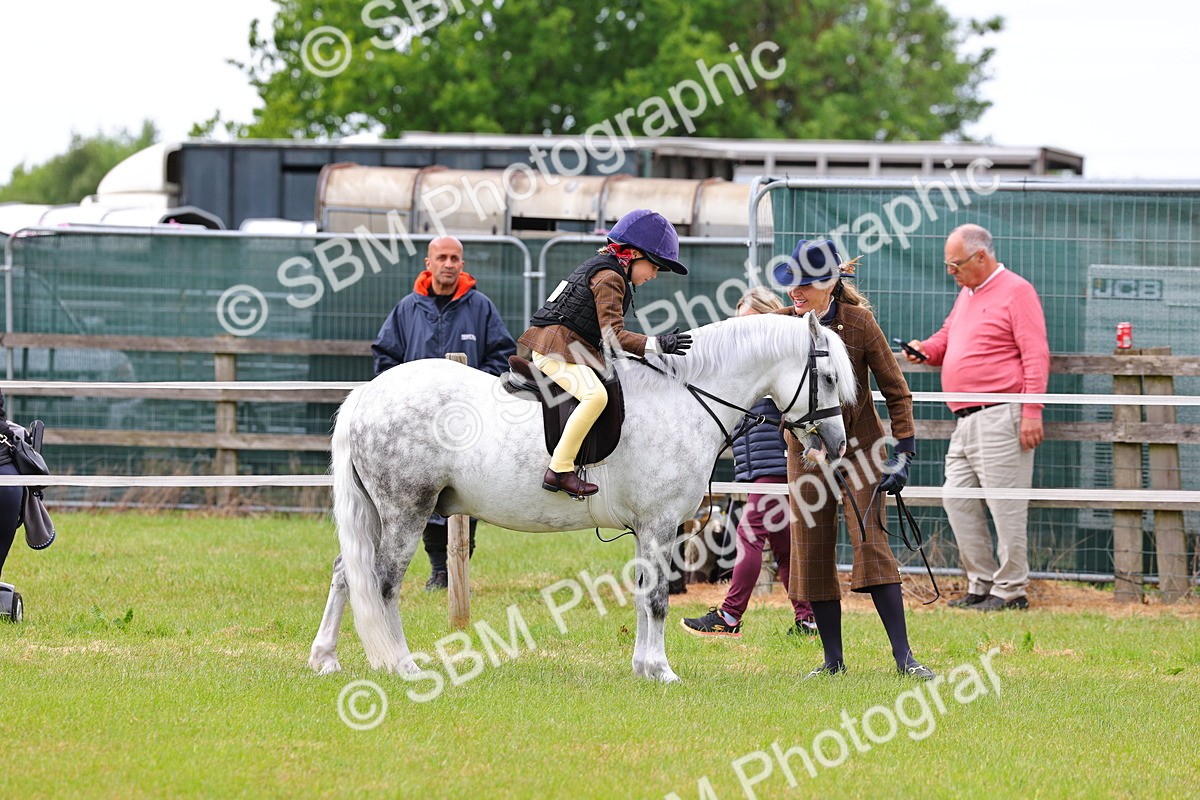 SBM_08273 - Class 42-43 - LIHS BSPS Heritage Working Sports Pony