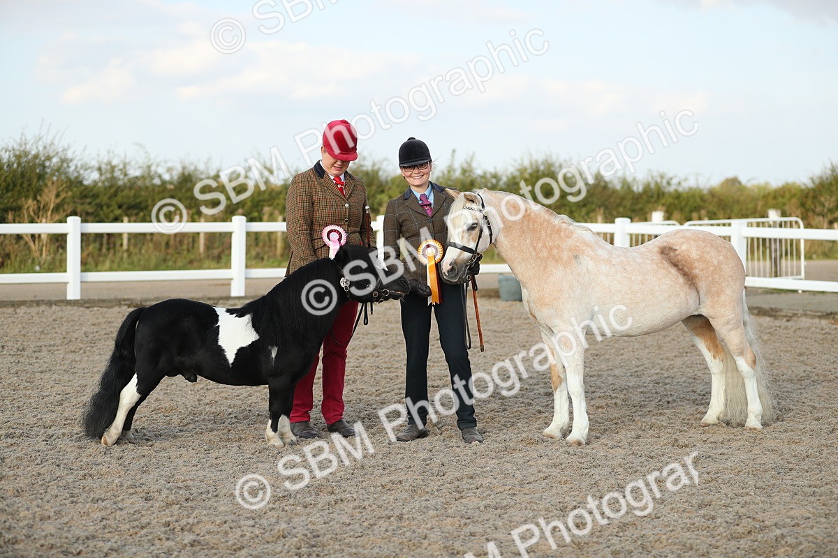 SBM_09133 - Class 29 IH Veteran Pony