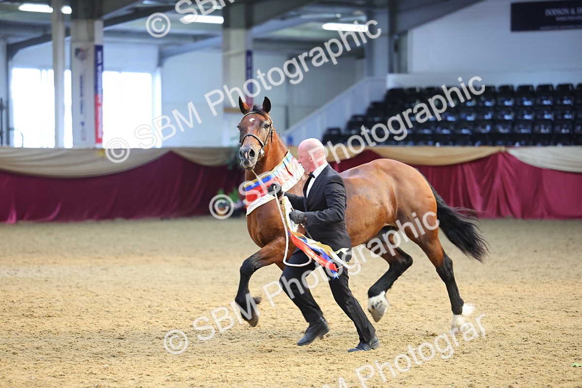 SBM_25031 - Grand Supreme Final Overall Champion