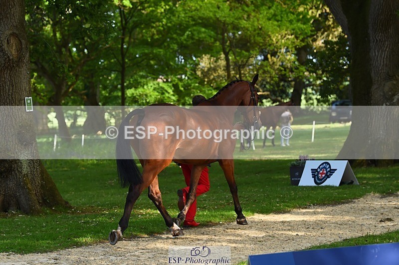 230524-171010-01323 - 173-HARIBO_LOUVO-Gaspard_Maksud-WEDTrotUp+DR