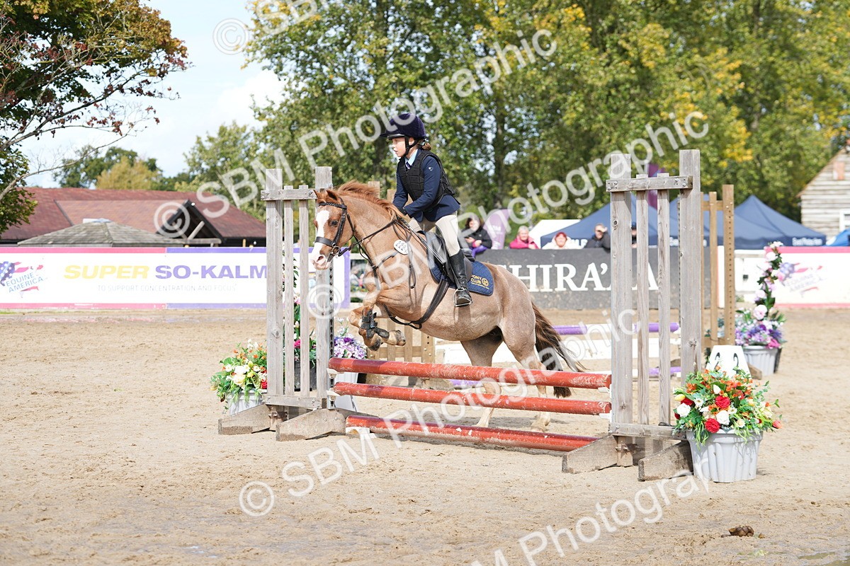 SBM_40747 - Supreme Championship Pony 50-55cm