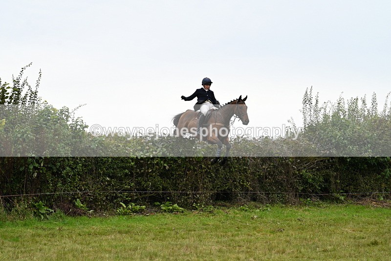 WJ7_4111 - Camera 1 Line 2