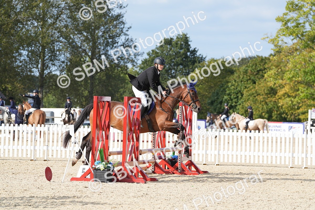 SBM_48829 - J22 - Junior Horse 65cm Championship
