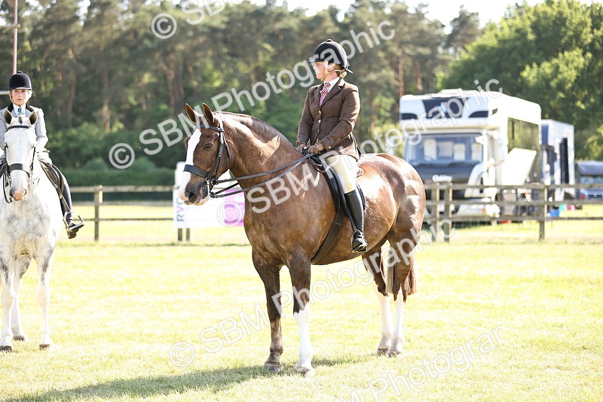 SBM_19698 - Class 87-88 - RIHS BSHA Riding Horses